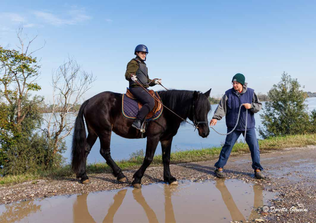 IPPICA: NELLA FOTO IN RIVA AL FIUME UN RAGAZZO IN TENUTA DA EQUITAZIONE SU DI UN MASSICCIO CAVALLO NERO RIFLESSO IN UNA GRANDE POZZANGHERA, CONDOTTI DA UN ADULTO ATTRAVERSO UNA FUNE